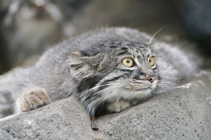 Прячьтесь! Понедельник грядёт!