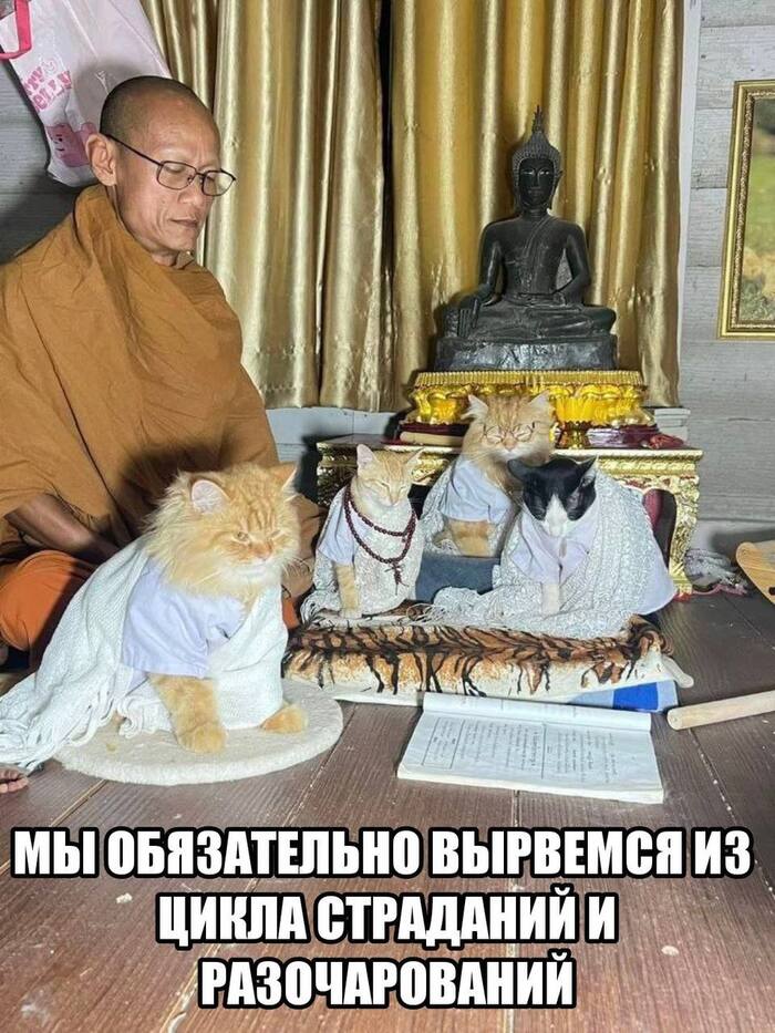    , , , ,  ,   