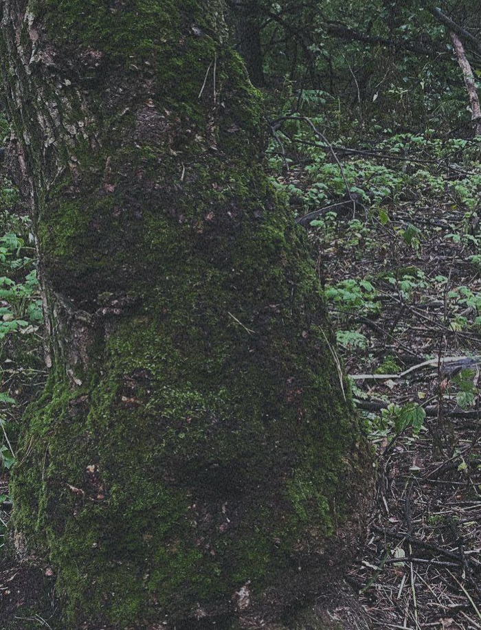 Автор: <!--noindex--><a href="https://pikabu.ru/story/fotoapparat_fyed_5v_13159917?u=http%3A%2F%2Ft.me%2FFa11en42&t=t.me%2FFa11en42&h=eb9ac28094d215d2a570ce5a902d0492f9e3fa4b" title="http://t.me/Fa11en42" target="_blank" rel="nofollow noopener">t.me/Fa11en42</a><!--/noindex-->