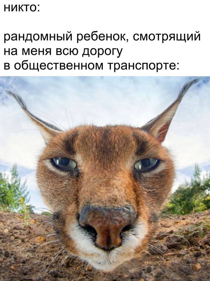     , ,   ,  ,  