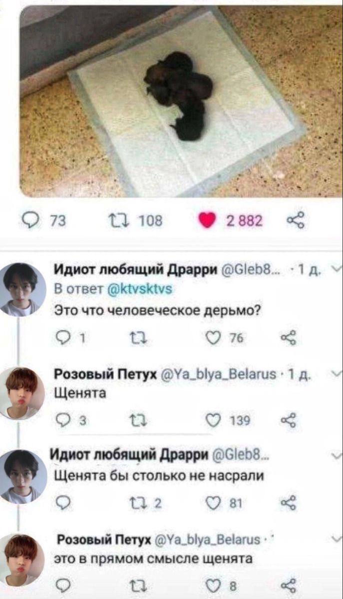    ? ,   , , X (Twitter), , , , , , 