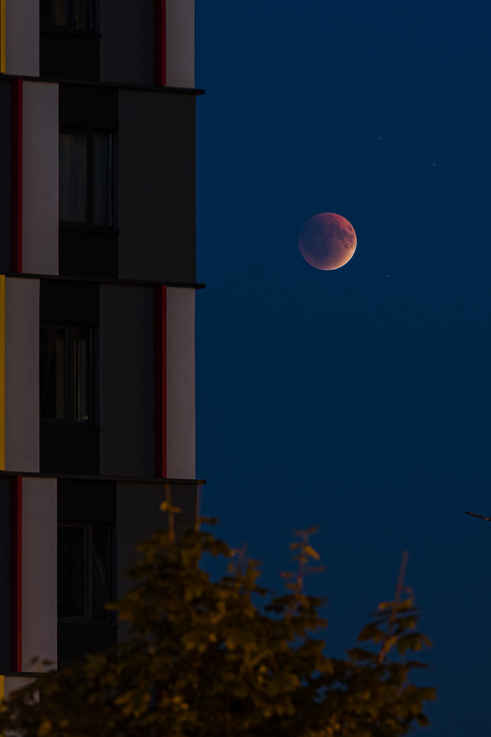   07.09.2025 , , , , , Sony a7iii, Tamron, 