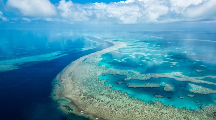 © <!--noindex--><a href="https://pikabu.ru/story/skolko_soli_mozhno_rastvorit_v_litre_vodyi_13162181?u=http%3A%2F%2Fpinterest.com&t=pinterest.com&h=2ff2c69448f2e8e1907ad321a6afe8f2b378d982" title="http://pinterest.com" target="_blank" rel="nofollow noopener">pinterest.com</a><!--/noindex-->