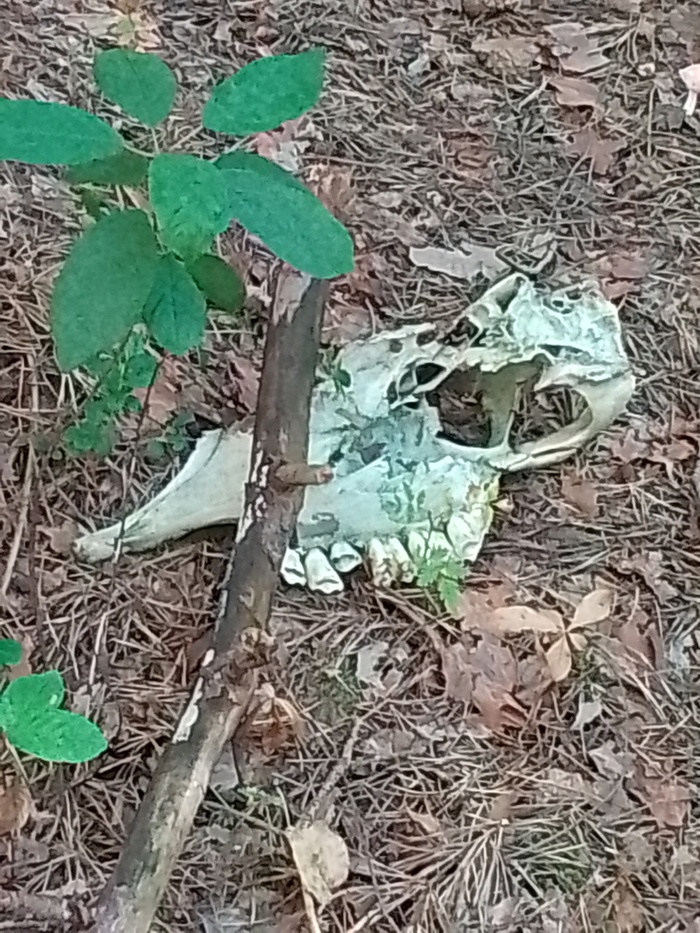     , -, , , , 