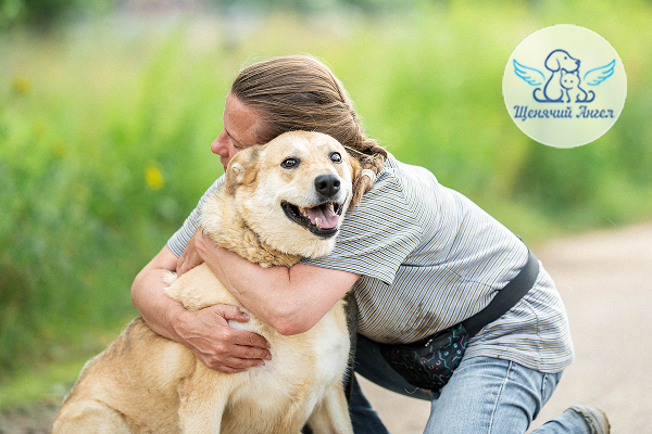   <a href="https://pikabu.ru/story/pochemu_moya_sobaka_vilyaet_khvostom_i_prizhimaet_ushi_razbiraem_yazyik_tela_khvostikov_13163665?u=https%3A%2F%2Fpuppyangel911.ru%2Fistoriya-lyusi-iz-mahachkaly%2F&t=%D0%9B%D1%8E%D1%81%D1%8F&h=c24fe966bafdf369f3f0defca9b291efb983076b" title="https://puppyangel911.ru/istoriya-lyusi-iz-mahachkaly/" target="_blank" rel="nofollow noopener"></a>    -