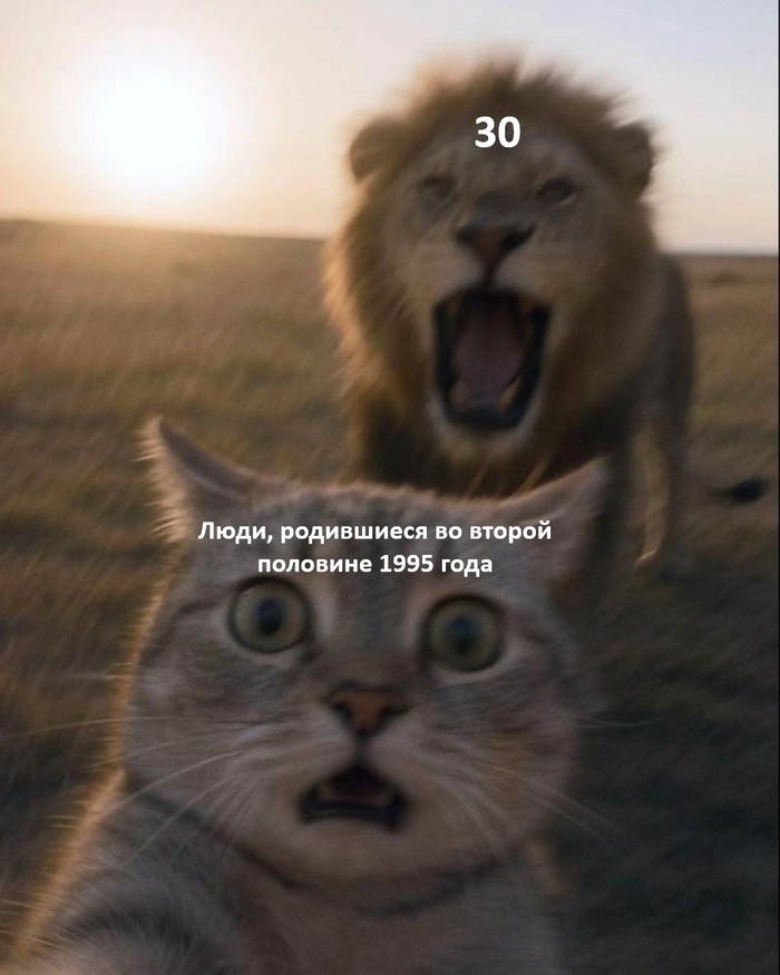  ,   , , , ,  