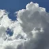 BinaryBird