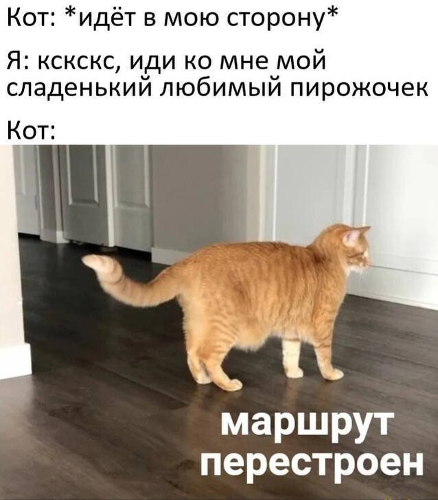    ,   , 