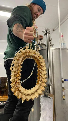 Что это за штука - 243 Reddit, WhatIsThisThing, Перевел сам, Видео, Вертикальное видео, Короткие видео, Длиннопост