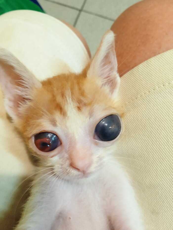,     ,  ,  , , 
