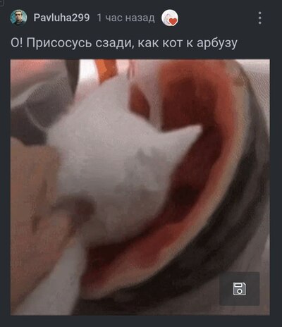 Иллюстрация к комментарию