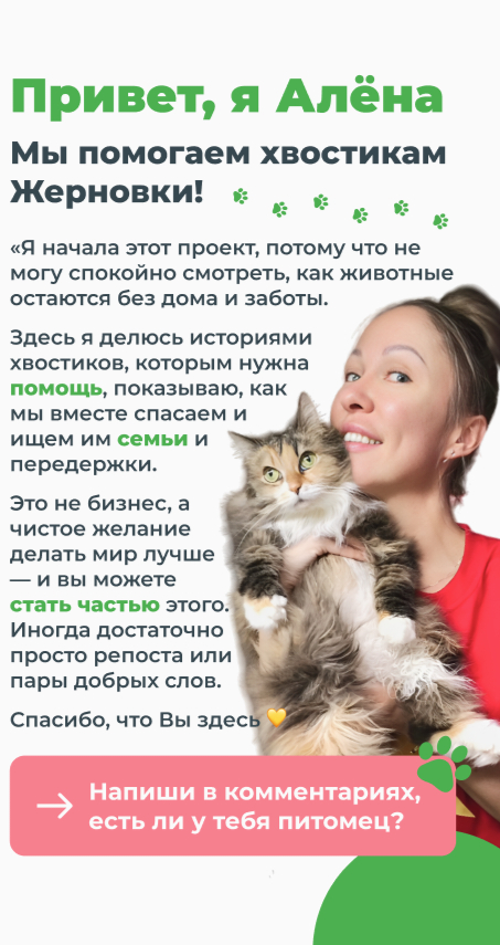          ,  , , , , , , ,    , ,  , ,  , ,  ,  ,  , , ,  