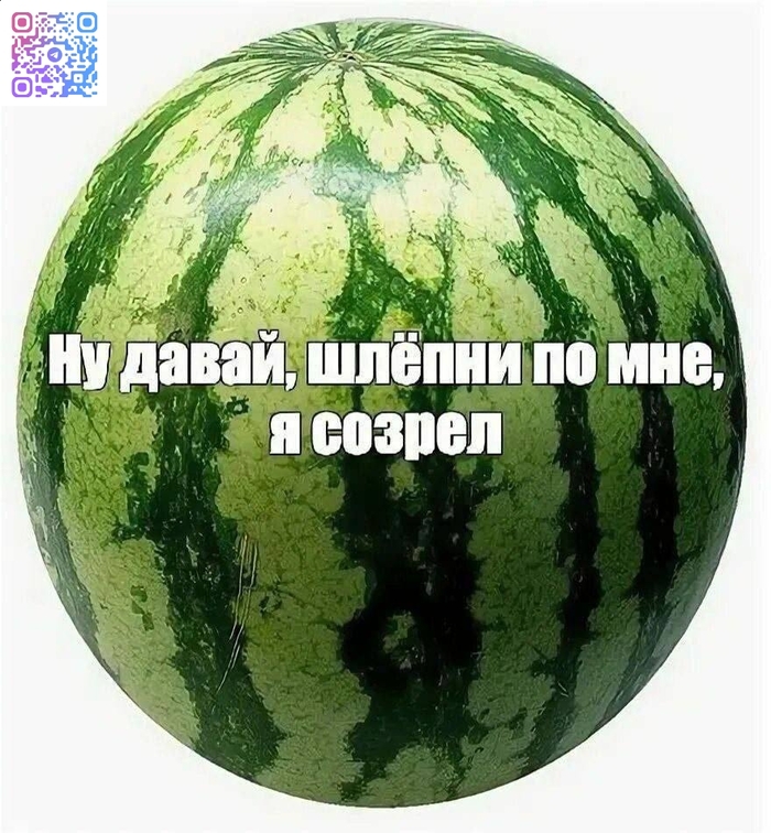   ! , ,  (), , ,   , 