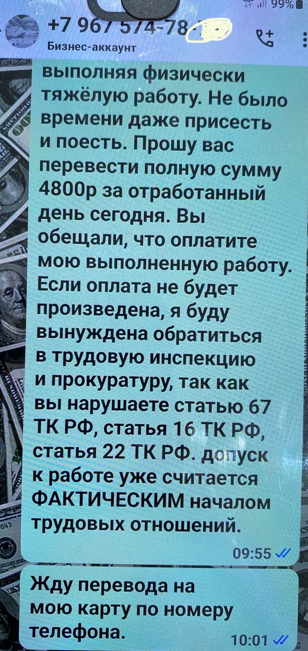 НЕ ИЩИТЕ РАБОТУ НА АВИТО продолжение Авито, Мошенничество, Обман, Длиннопост, Негатив