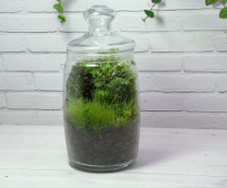 ����-���������� � ����� ��� ������