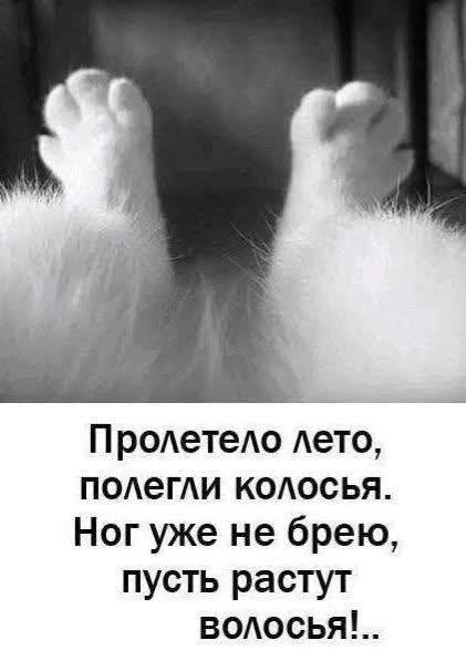 ,  ! ,   , , 