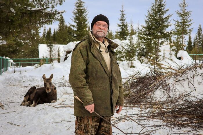 � � ���� ������� �� �����������, ������ ��� ������������� ���������� � ��������� ��������� � ������ ���� ���.