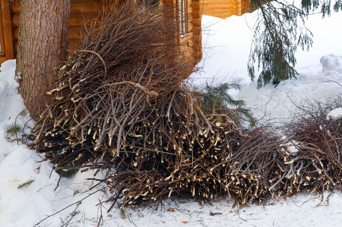 ������ ������!