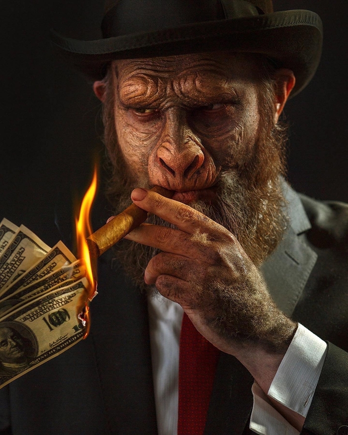 Blacksad | Noir Monkey , Blacksad, , ,  (), 