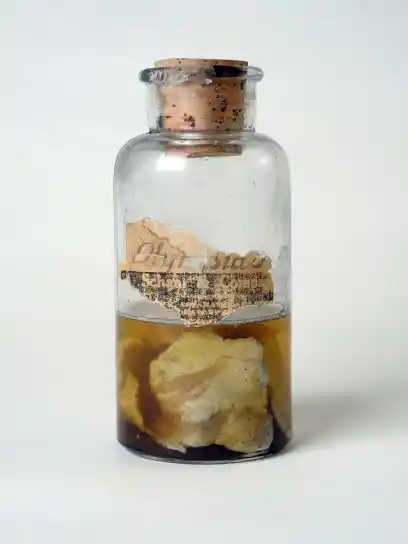 Законсервированный образец из Олимпия-Спрингс