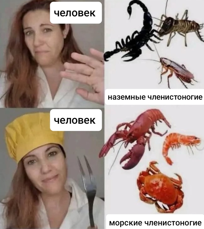  , ,   , , 
