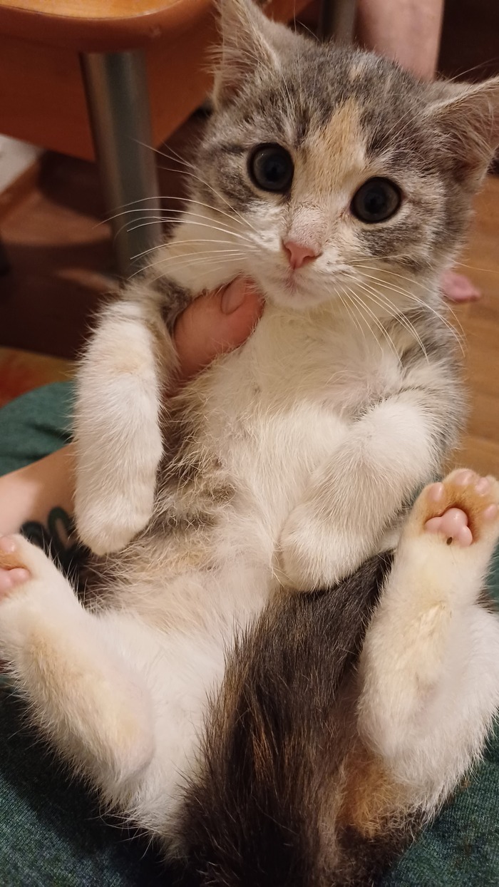       ,  , , ,  , 