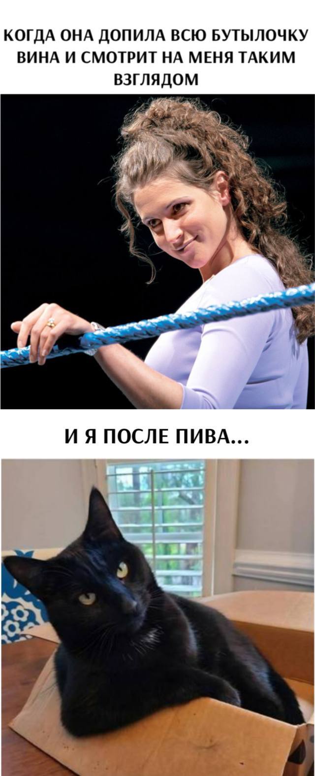   ,   , , , , 