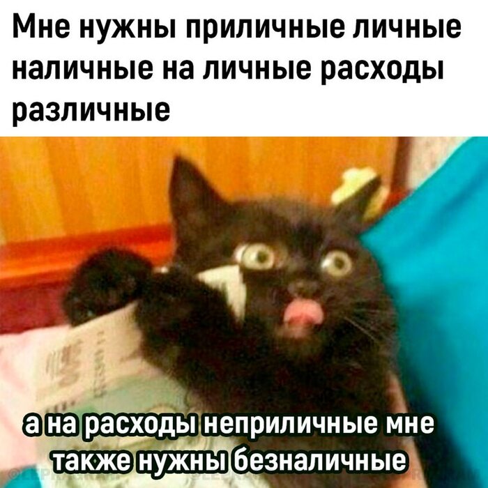   ,   , , , , , ,  