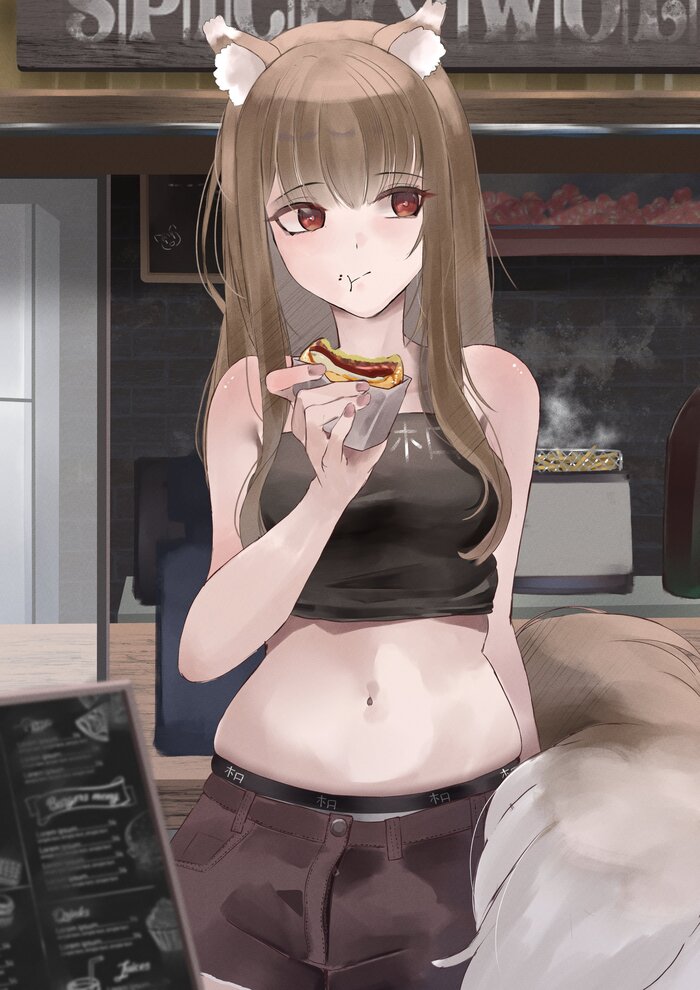    Anime Art, , Spice and Wolf, Holo, Pixiv, Animal Ears