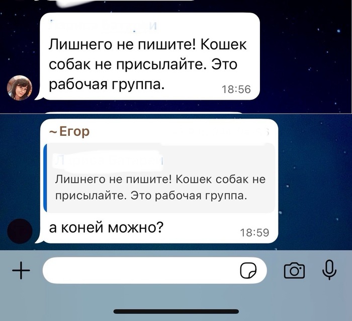    , , WhatsApp, , 
