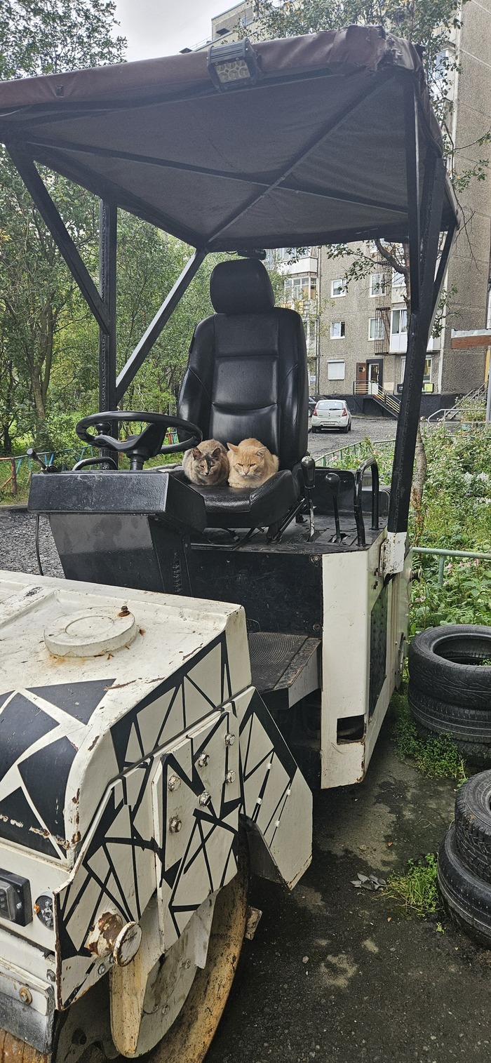      , , , , ,  , 