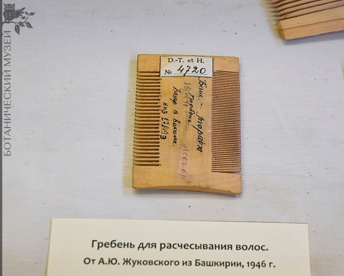       .  .. . . 1946 .       .