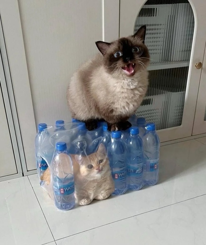  , , , , , 