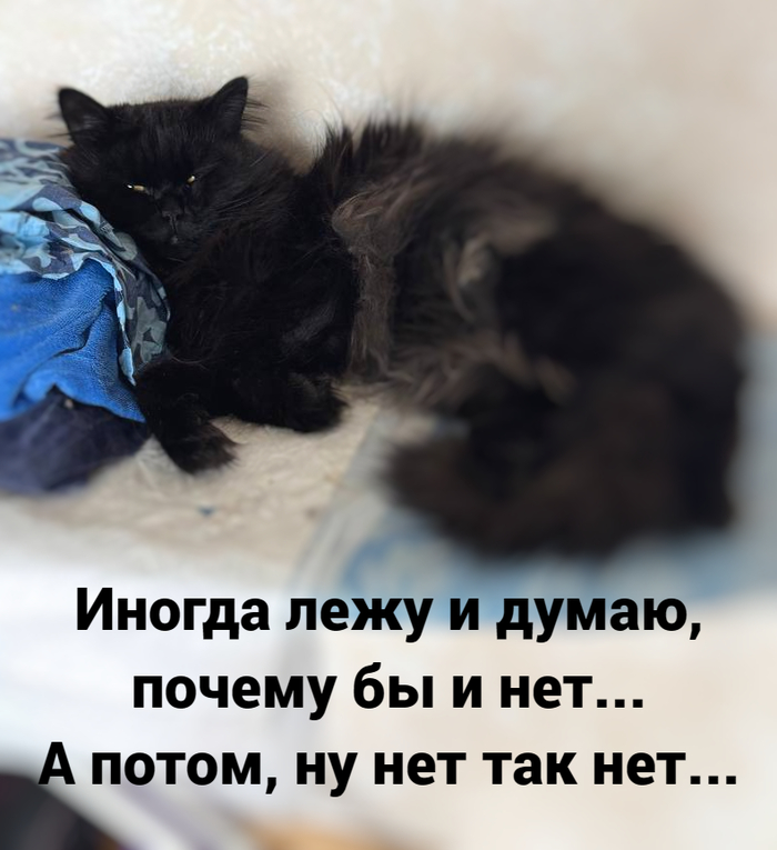    , ,   