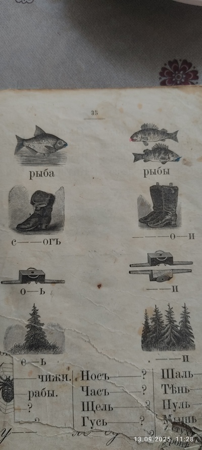 ����������� � �����������