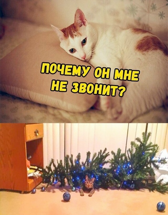    , , , ,  