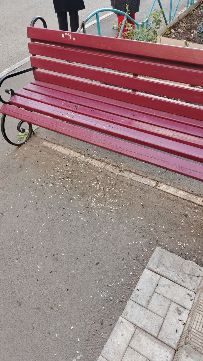 ����� �� ���� ������ ������ ����������� �������� ��� ����?�