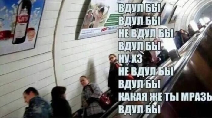    ...   , , ,  , Telegram ()