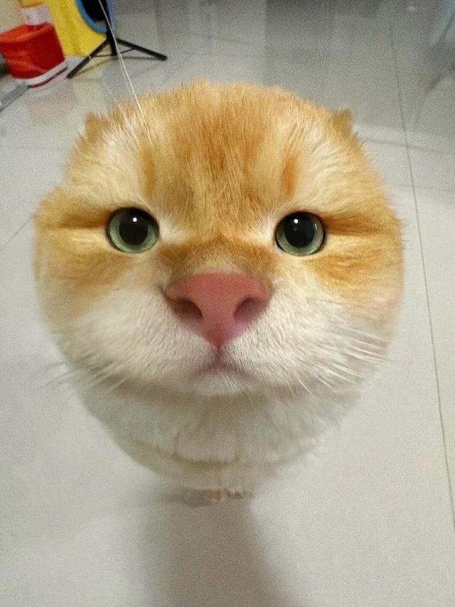 ,    ? , , 