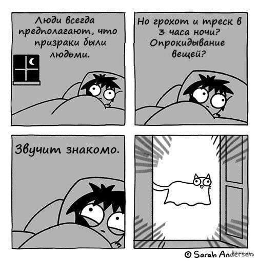 ��� ����� ����