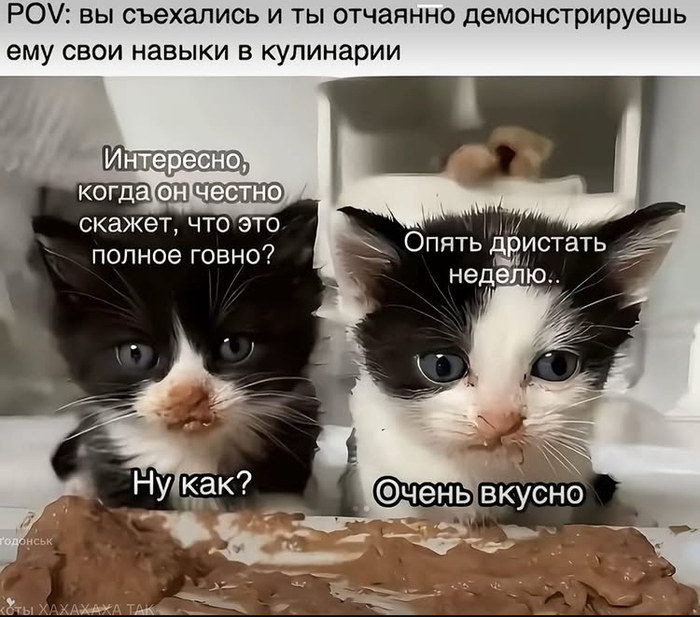     ,  , Telegram (), ,  , , , , , 