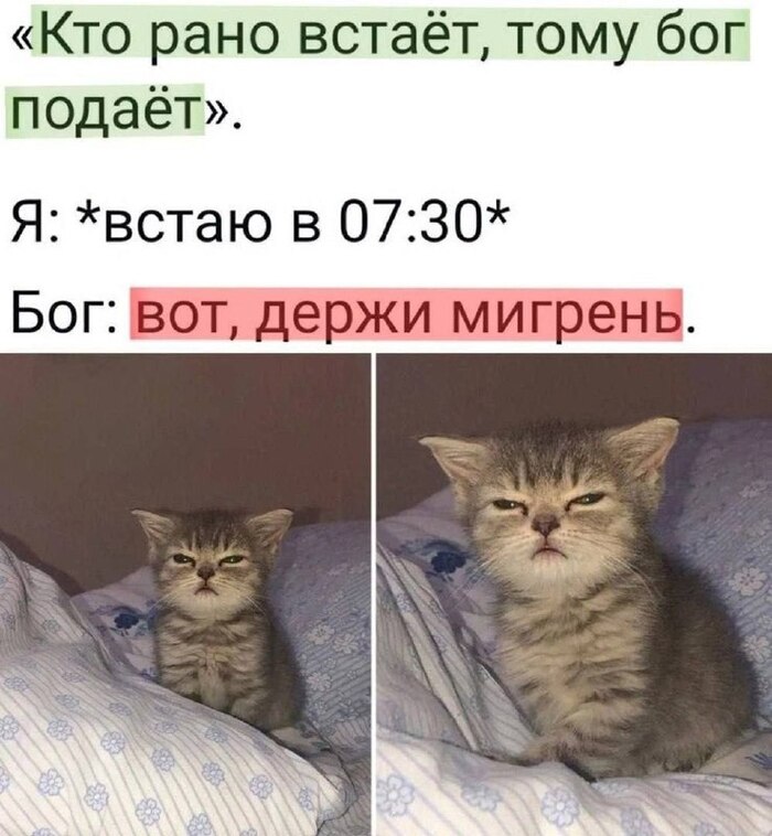 ��, ��������� ���, �������� ���������