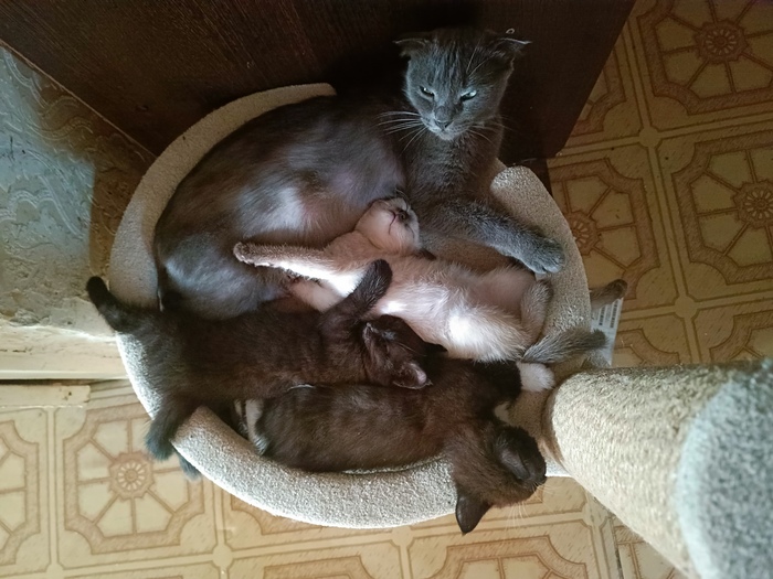 Фото на память, мальчик уже в новом доме к тому моменту.