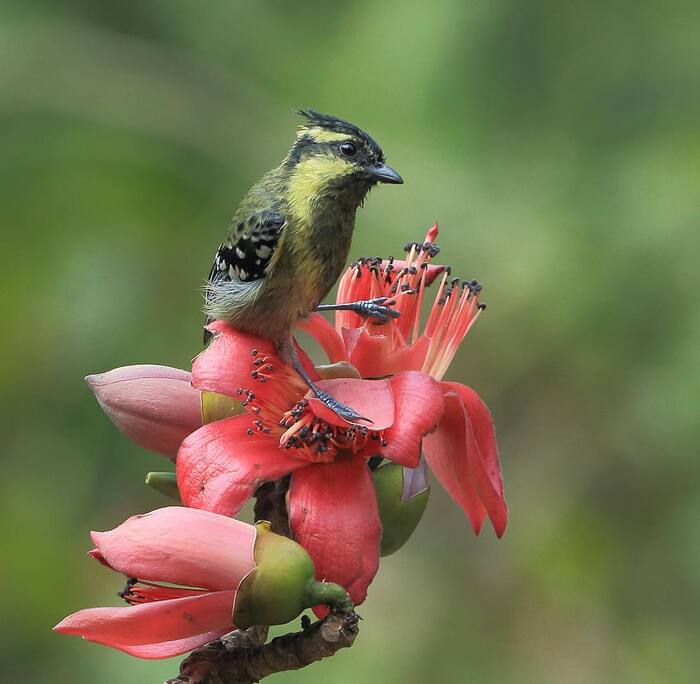      , , ,  , , ,  , , 