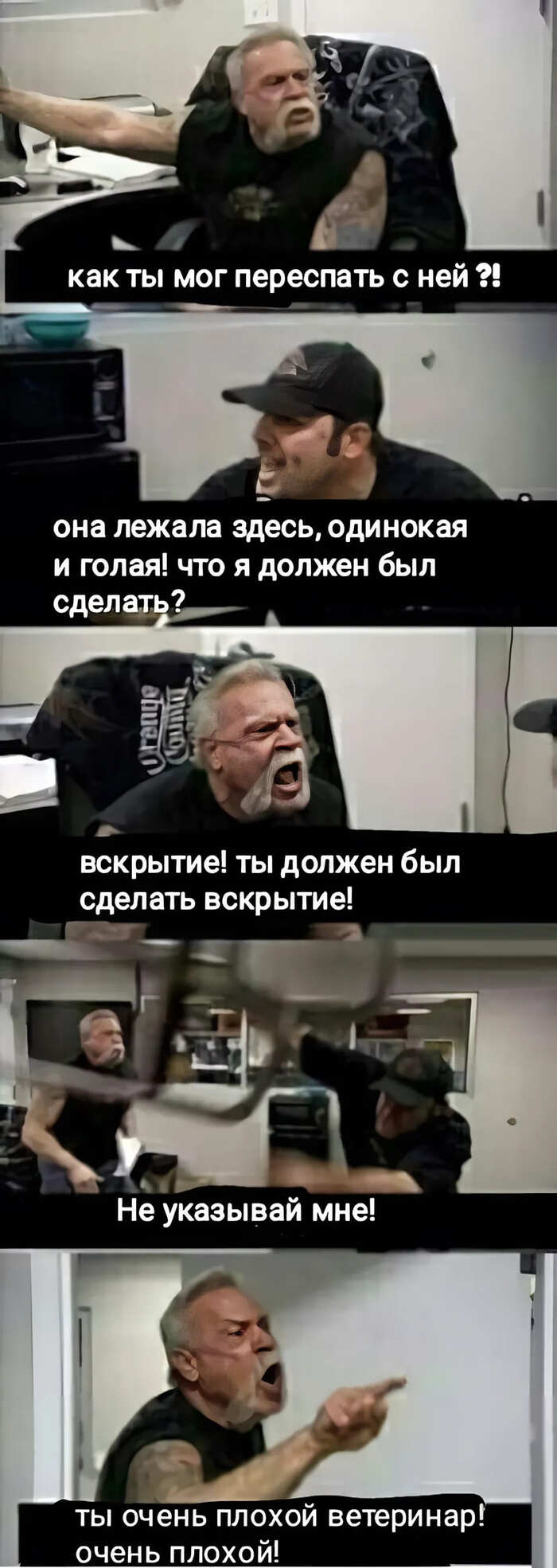   , , , ,   ,  , , 