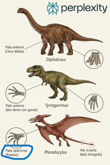 Huesos – вы не правильно это произносите!