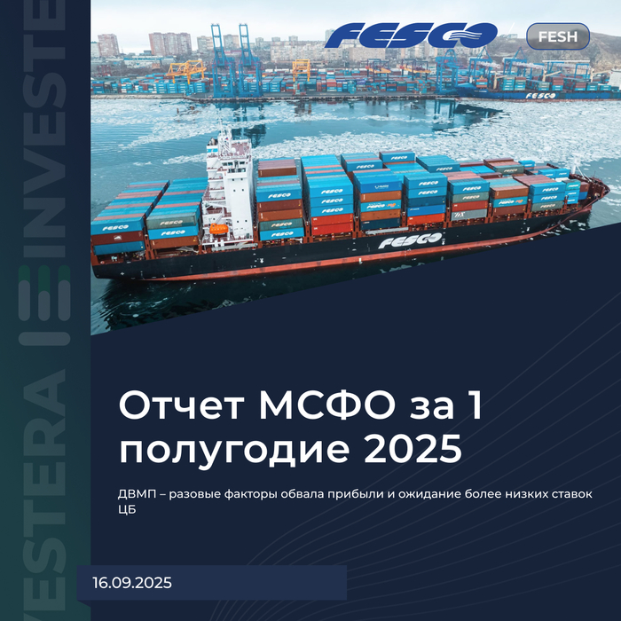 ДВМП – разовые факторы обвала прибыли и ожидание более низких ставок ЦБ