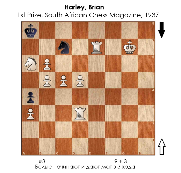 Трёхходовочка #217