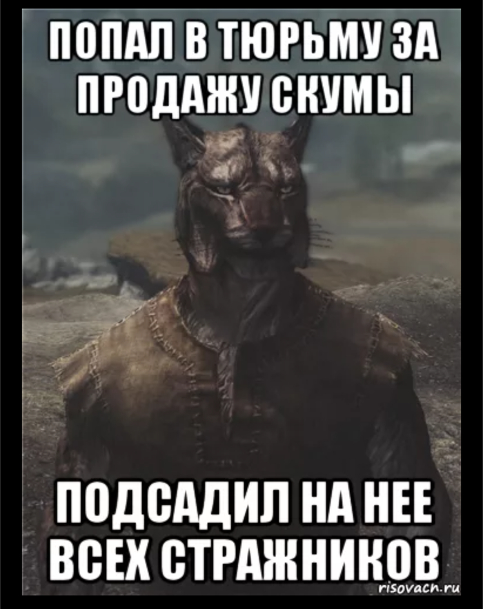 Вспоминаем видеоигры. TES V: Skyrim. Каджит-Барыга на высоком уровне сложности