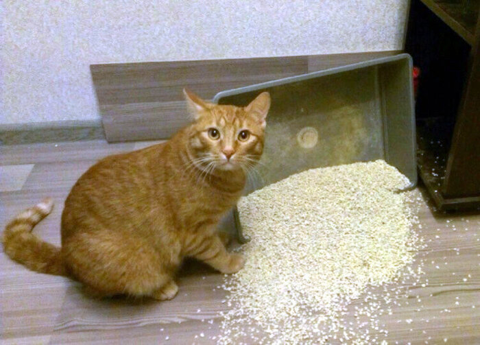     :          .     2025 